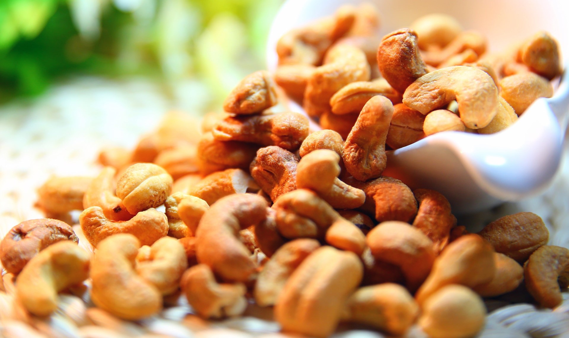 5 Questions You Have To “Google” about Vietnam’s Cashew Exports