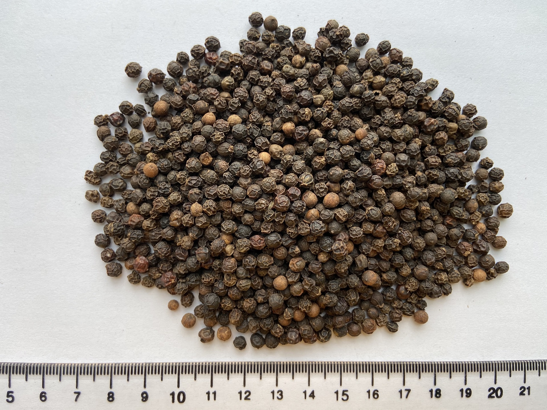 Black pepper Cleaned