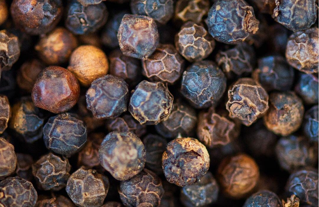 Vietnam Pepper Market in June 2025: Prices Drop, Value Surges 40%