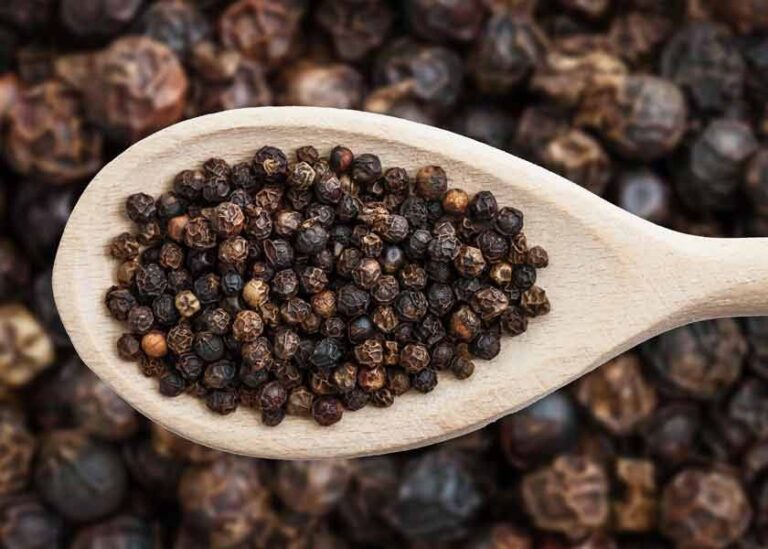 Vietnamese Black Pepper: The Spice Powerhouse Driving Global Trade