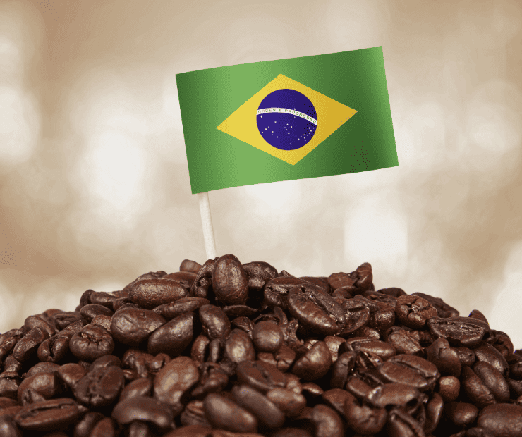 brazilian-coffee-beans-740x620