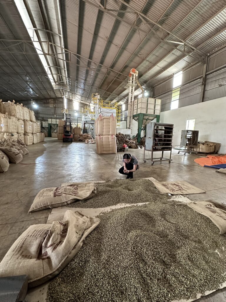 kho cà phê+ dải ra