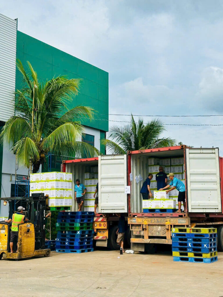 logistic