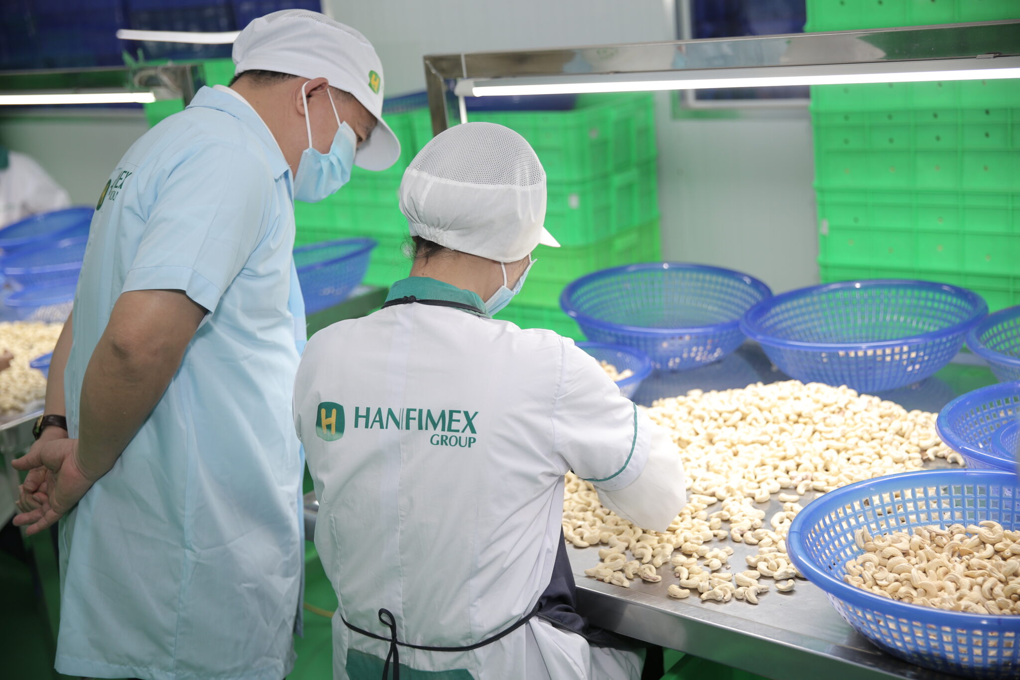 Cashew Market Update: Short-Term Drop or Start of a Trend?