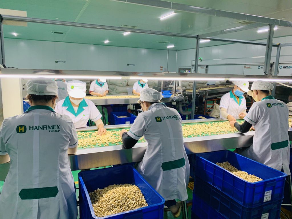 Cashew Market Report: Key Trends and Price Forecast for Q3 2025